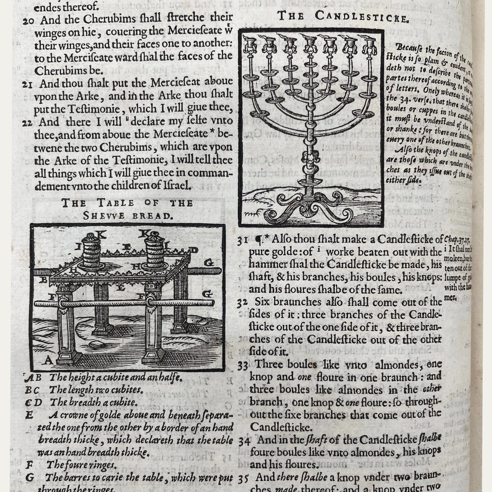 Geneva Bible — Antique Bible